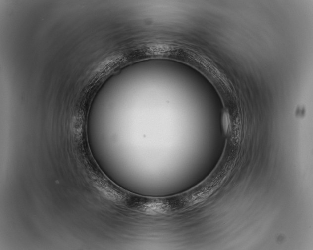 X0000101210505200806271418