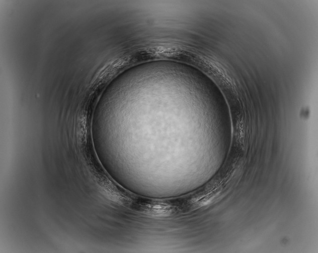 X0000101210506200806271418