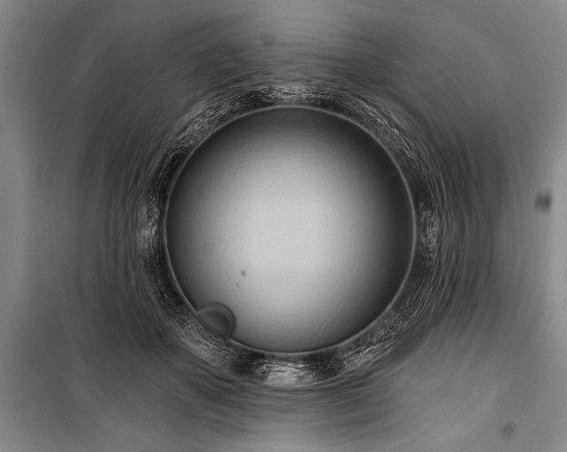 X0000101210507200806271418