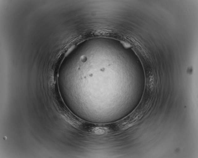 X0000101210508200806271418