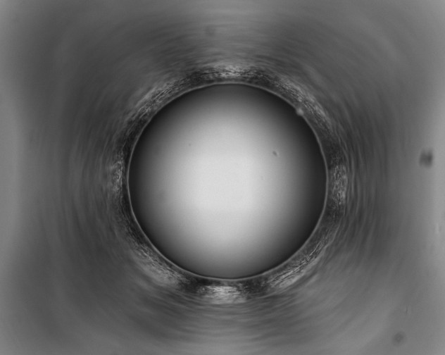 X0000101210509200806271418