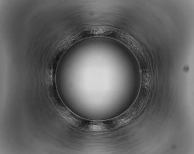 X0000101210510200806271418