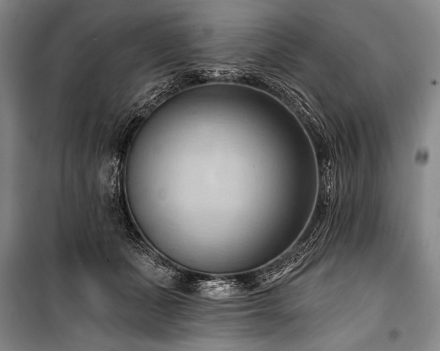 X0000101210511200806271418