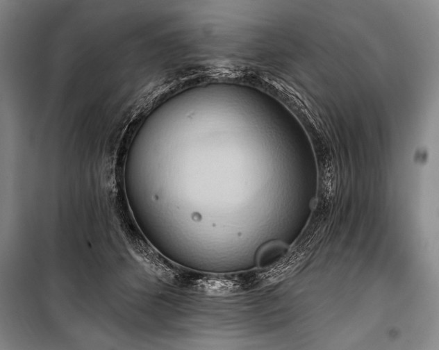 X0000101210512200806271418