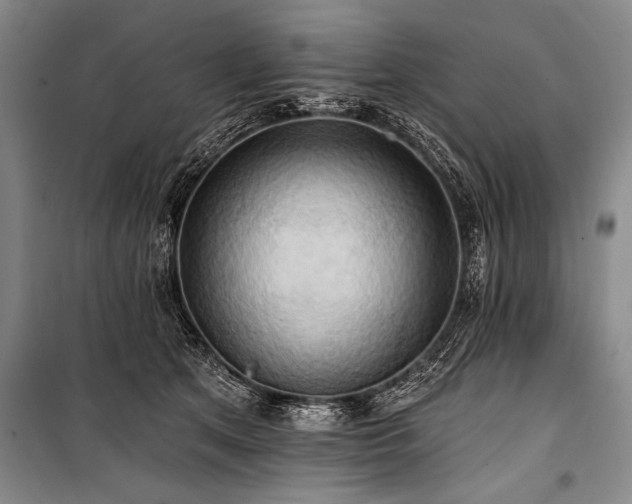 X0000101210513200806271418