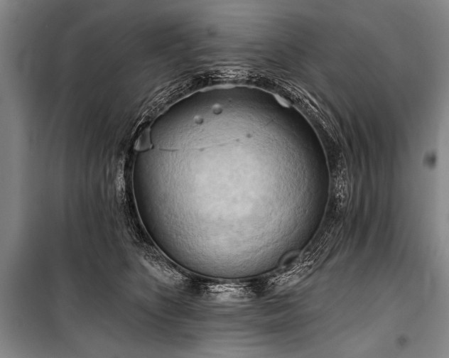 X0000101210516200806271418