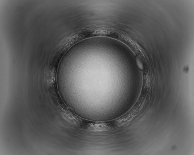 X0000101210517200806271418