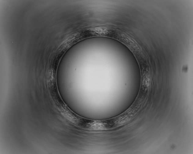 X0000101210518200806271418