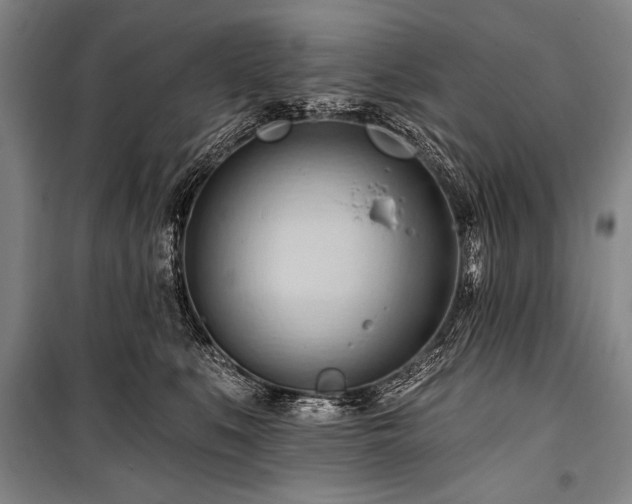 X0000101210519200806271418