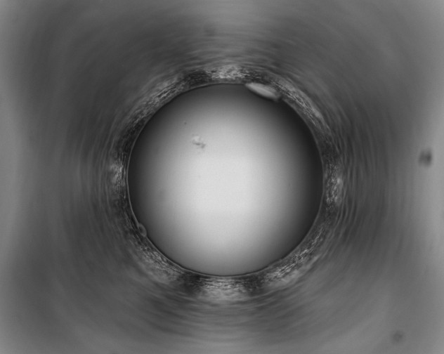 X0000101210521200806271418