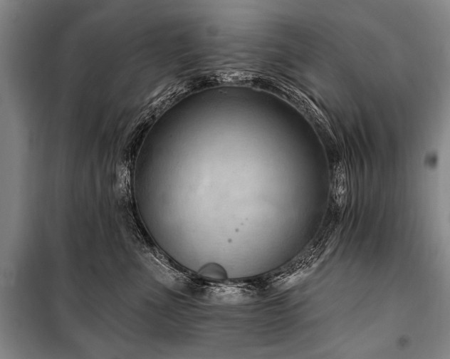 X0000101210523200806271418