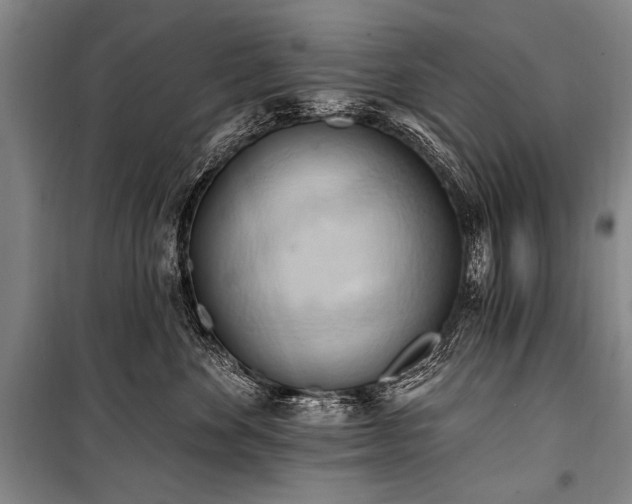 X0000101210524200806271418