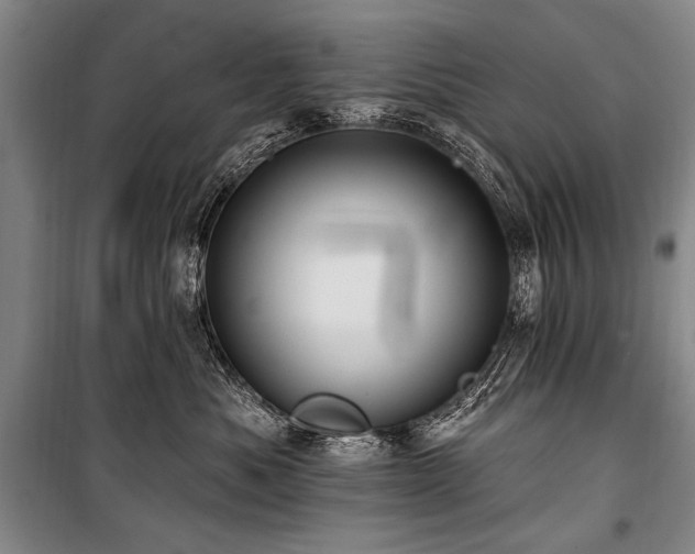 X0000101210525200806271418