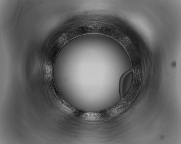 X0000101210526200806271418