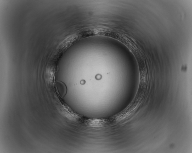 X0000101210527200806271418