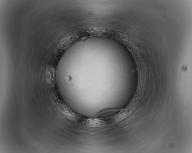 X0000101210528200806271418