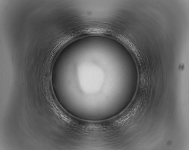 X0000101210529200806271417