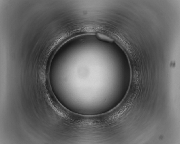 X0000101210530200806271417