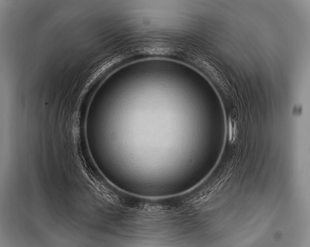 X0000101210531200806271417