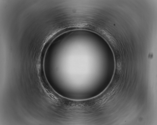 X0000101210532200806271417