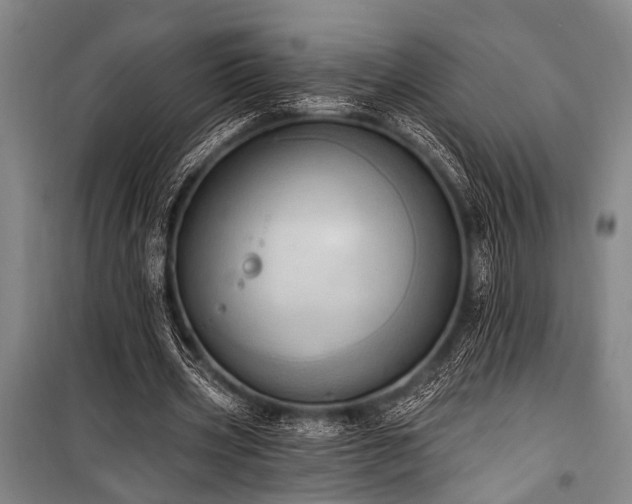 X0000101210533200806271417