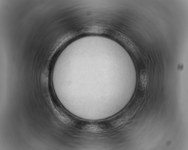 X0000101210534200806271417