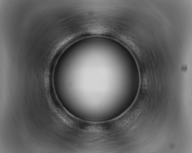 X0000101210535200806271417