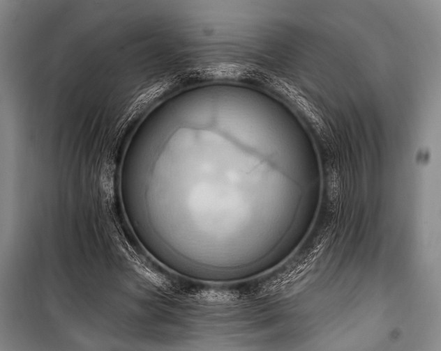 X0000101210537200806271417