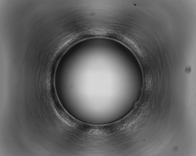 X0000101210538200806271417