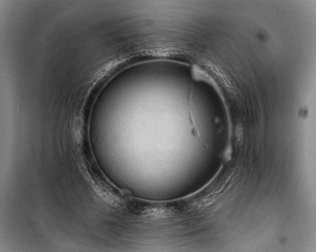 X0000101210540200806271417