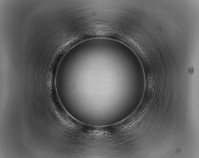 X0000101210542200806271417