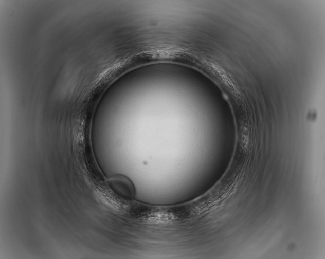 X0000101210543200806271417