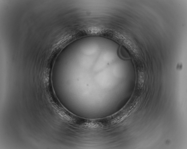 X0000101210545200806271417