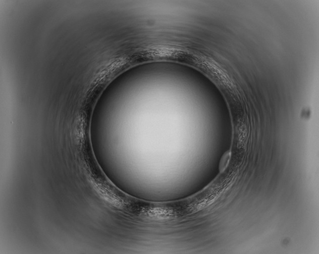 X0000101210546200806271417