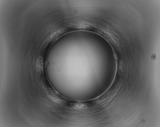 X0000101210547200806271417