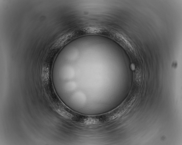 X0000101210549200806271417