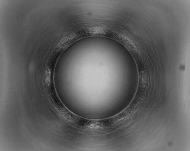 X0000101210550200806271417