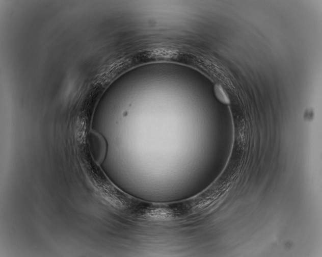 X0000101210551200806271417