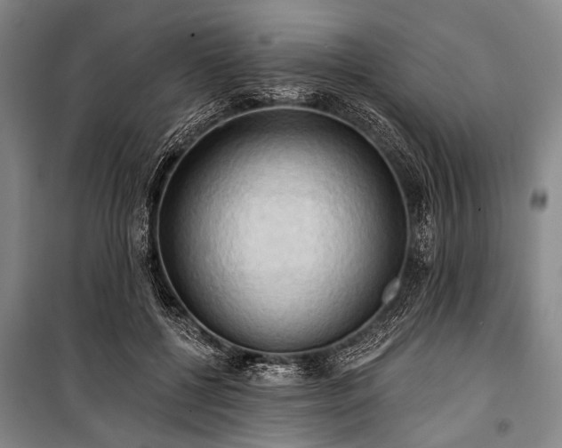 X0000101210552200806271417