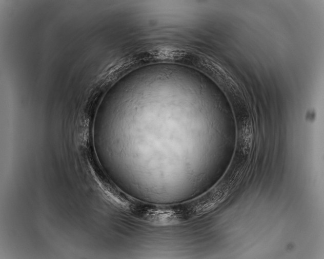 X0000101210554200806271417