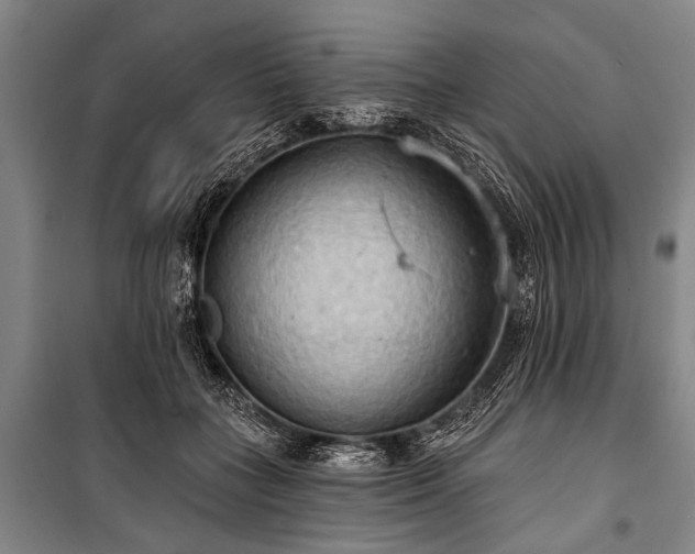 X0000101210555200806271417