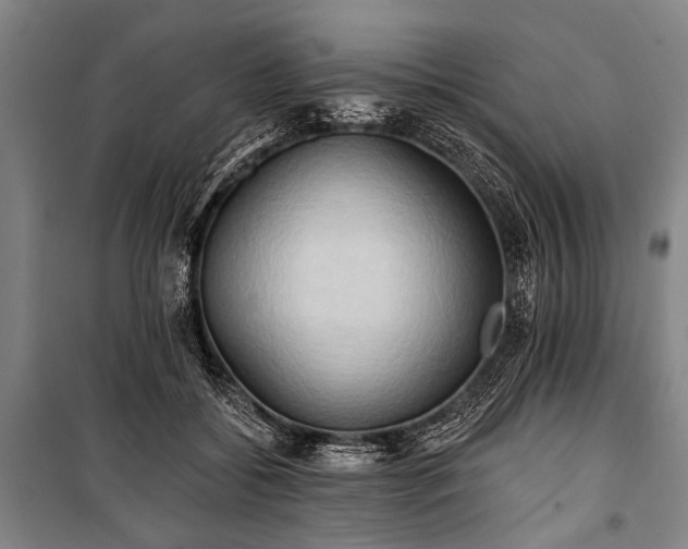 X0000101210556200806271417