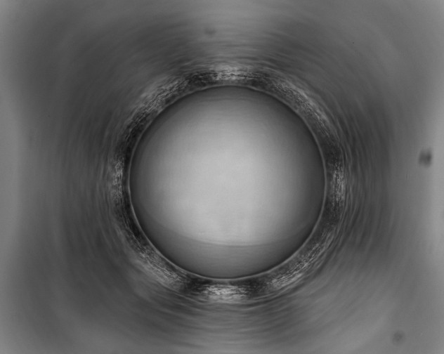 X0000101210557200806271417