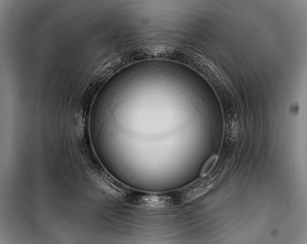 X0000101210558200806271417