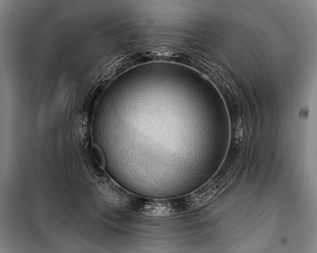 X0000101210559200806271417