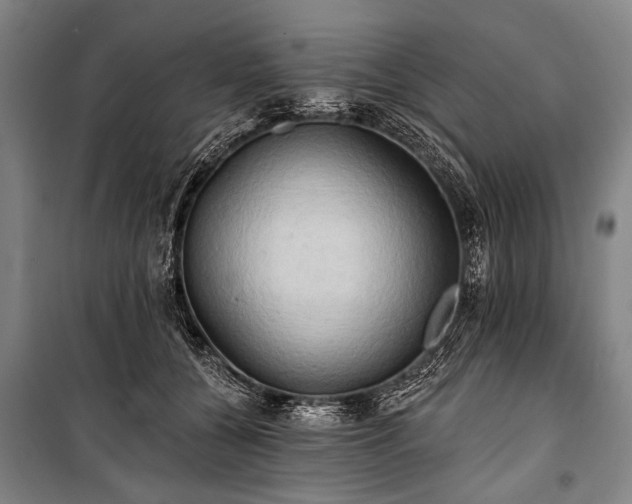 X0000101210560200806271417