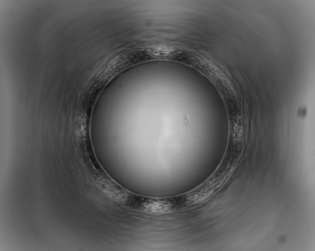 X0000101210561200806271417