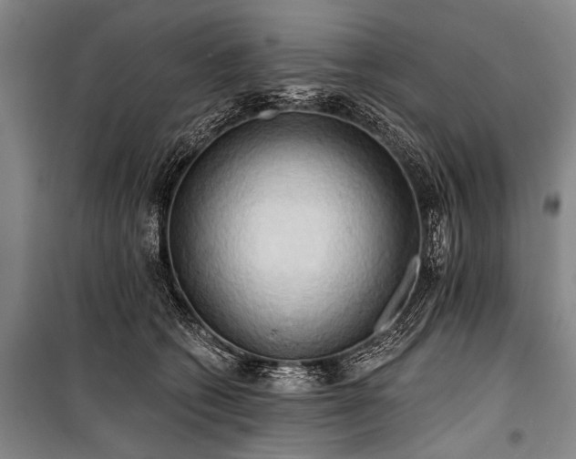 X0000101210562200806271417