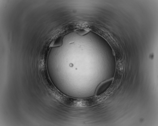 X0000101210564200806271417