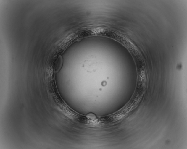 X0000101210565200806271417